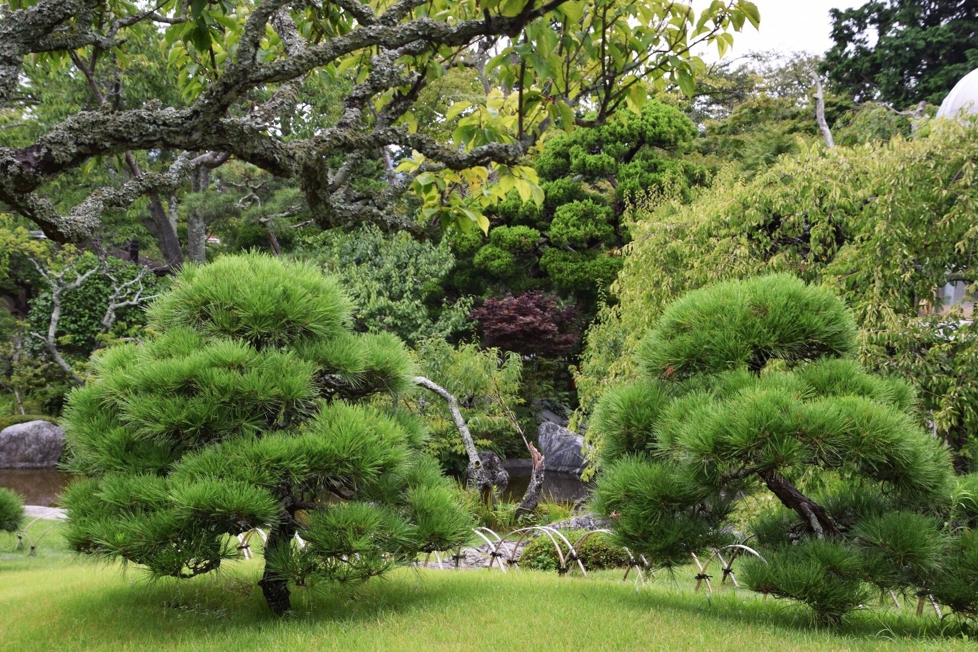 造園12_800px